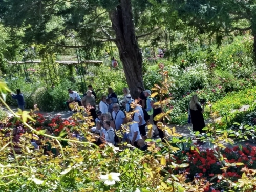 Monet's Garden at Giverny