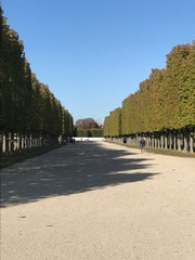 Alley at St Germain en Laye